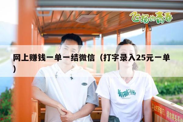 网上赚钱一单一结微信（打字录入25元一单）