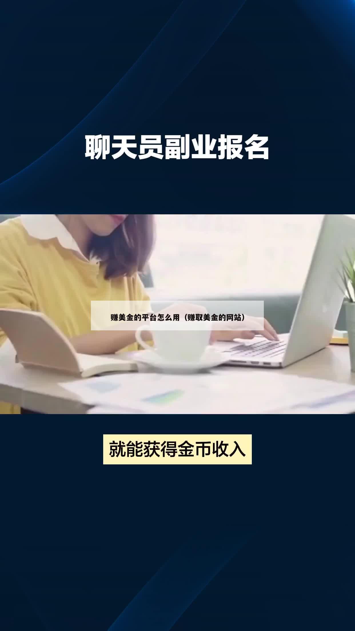 赚美金的平台怎么用（赚取美金的网站）