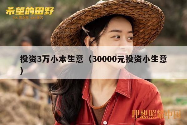 投资3万小本生意（30000元投资小生意）