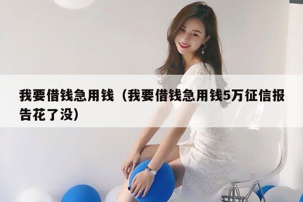 我要借钱急用钱（我要借钱急用钱5万征信报告花了没）
