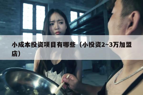 小成本投资项目有哪些（小投资2～3万加盟店）
