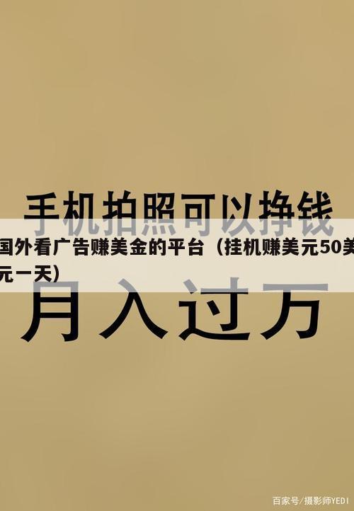 国外看广告赚美金的平台（挂机赚美元50美元一天）