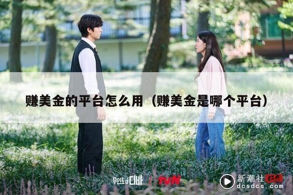 赚美金的平台怎么用（赚美金是哪个平台）