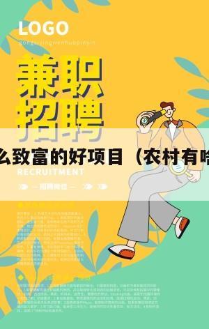 农村有什么致富的好项目（农村有啥好的致富项目）