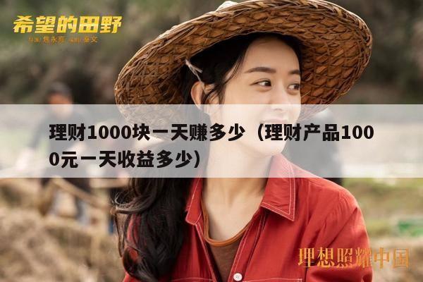 理财1000块一天赚多少（理财产品1000元一天收益多少）
