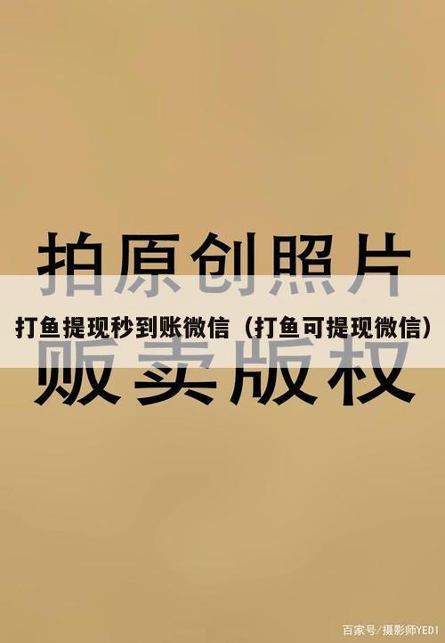 打鱼提现秒到账微信（打鱼可提现微信）