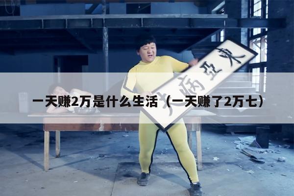 一天赚2万是什么生活（一天赚了2万七）