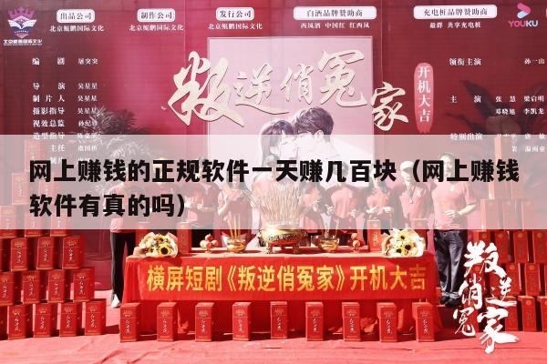 网上赚钱的正规软件一天赚几百块（网上赚钱软件有真的吗）