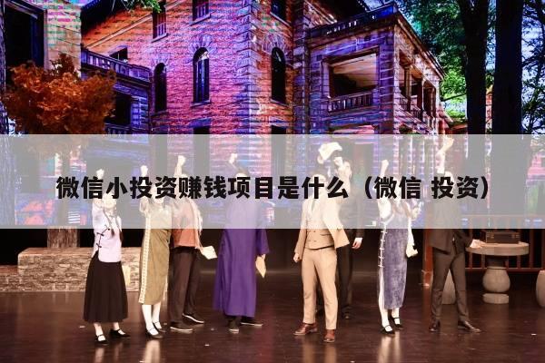 微信小投资赚钱项目是什么（微信 投资）