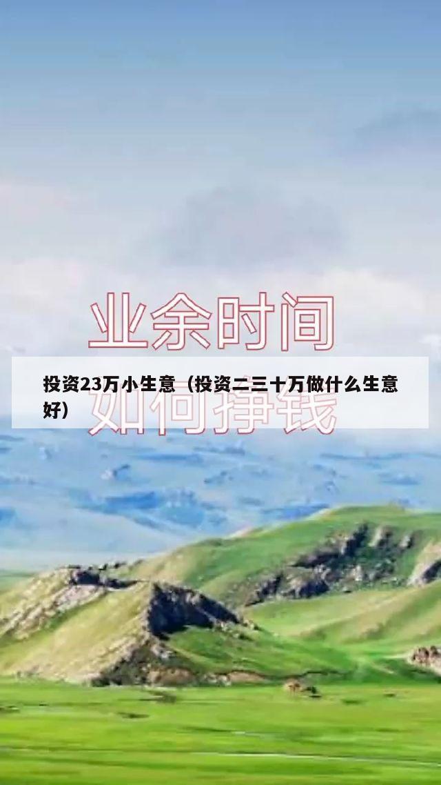 投资23万小生意（投资二三十万做什么生意好）