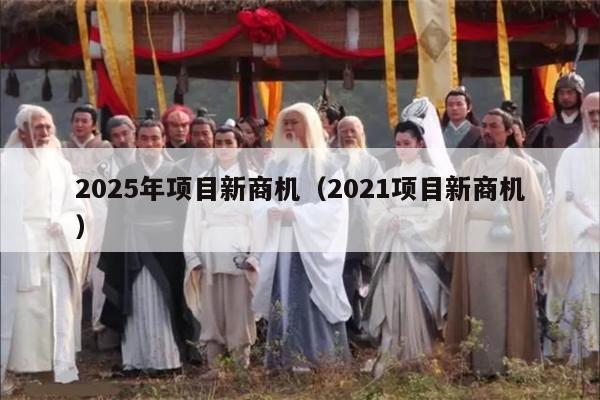 2025年项目新商机（2021项目新商机）