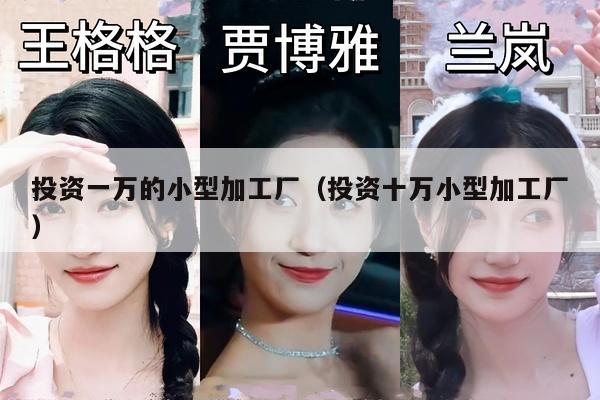 投资一万的小型加工厂（投资十万小型加工厂）