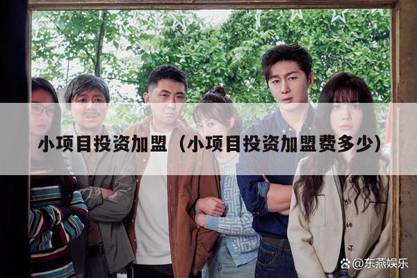 小项目投资加盟（小项目投资加盟费多少）