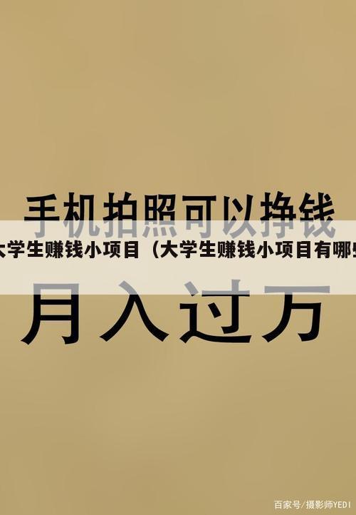 大学生赚钱小项目（大学生赚钱小项目有哪些）