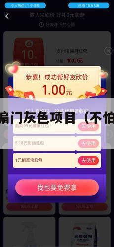 日入万元的偏门灰色项目（不怕死一天搞20万的方法）