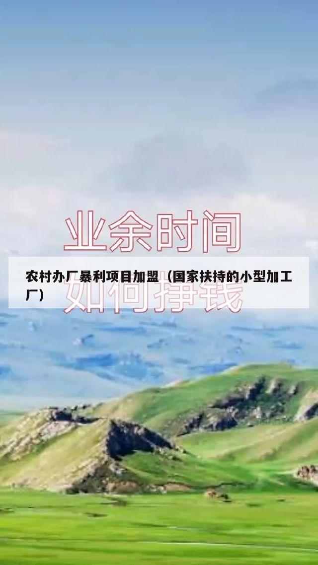 农村办厂暴利项目加盟（国家扶持的小型加工厂）