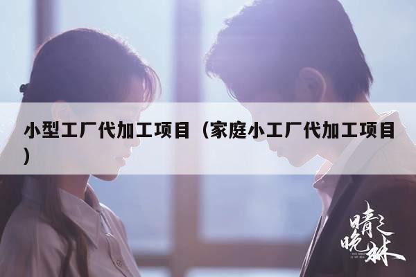 小型工厂代加工项目（家庭小工厂代加工项目）