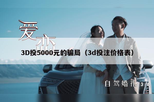 3D投5000元的骗局（3d投注价格表）