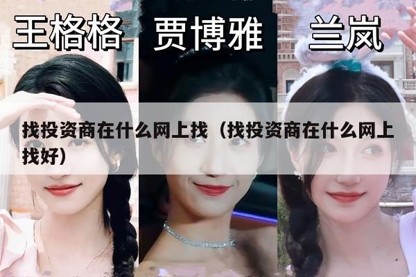 找投资商在什么网上找（找投资商在什么网上找好）