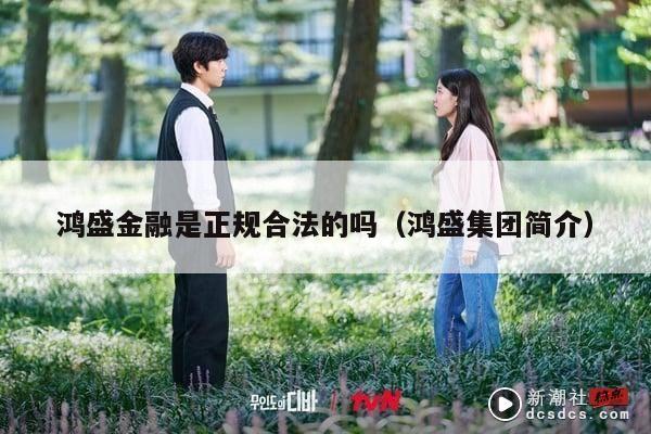 鸿盛金融是正规合法的吗（鸿盛集团简介）