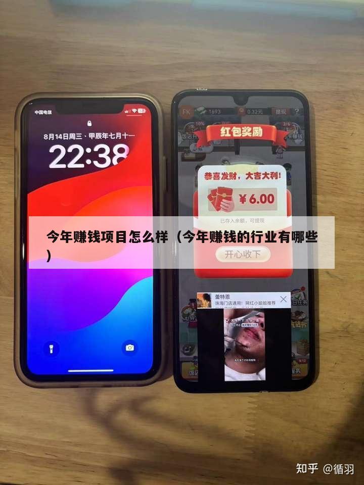 今年赚钱项目怎么样（今年赚钱的行业有哪些）