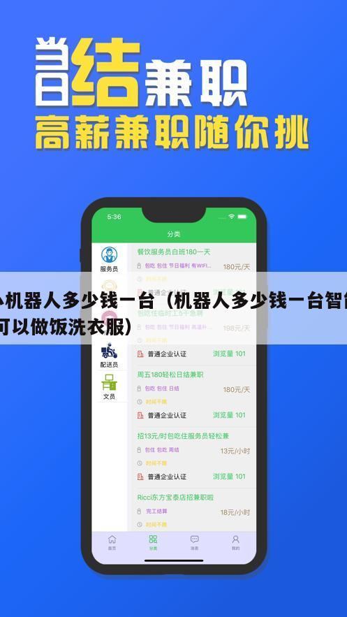 小机器人多少钱一台（机器人多少钱一台智能 可以做饭洗衣服）