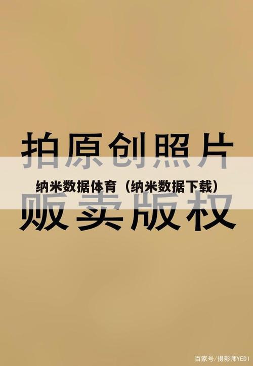 纳米数据体育（纳米数据下载）