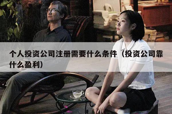个人投资公司注册需要什么条件（投资公司靠什么盈利）