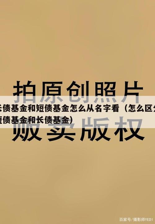 长债基金和短债基金怎么从名字看（怎么区分短债基金和长债基金）