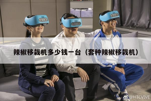 辣椒移栽机多少钱一台（套种辣椒移栽机）