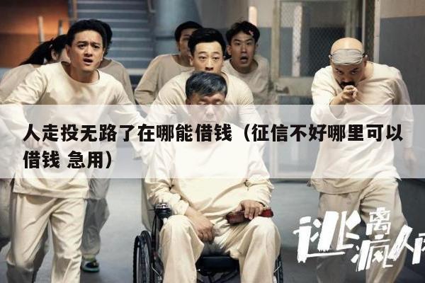 人走投无路了在哪能借钱（征信不好哪里可以借钱 急用）