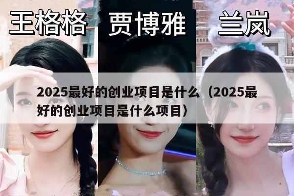 2025最好的创业项目是什么（2025最好的创业项目是什么项目）
