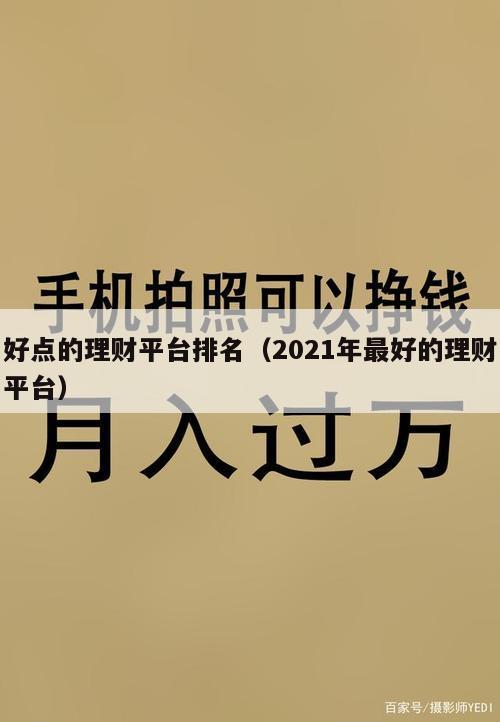 好点的理财平台排名（2021年最好的理财平台）