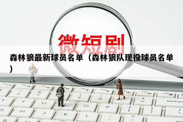森林狼最新球员名单（森林狼队现役球员名单）