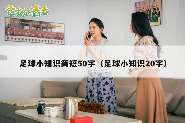 足球小知识简短50字（足球小知识20字）