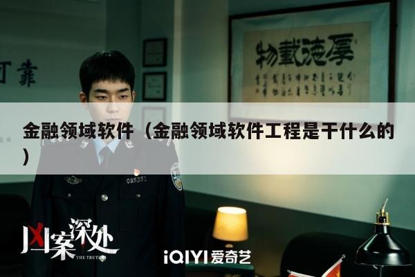 金融领域软件（金融领域软件工程是干什么的）