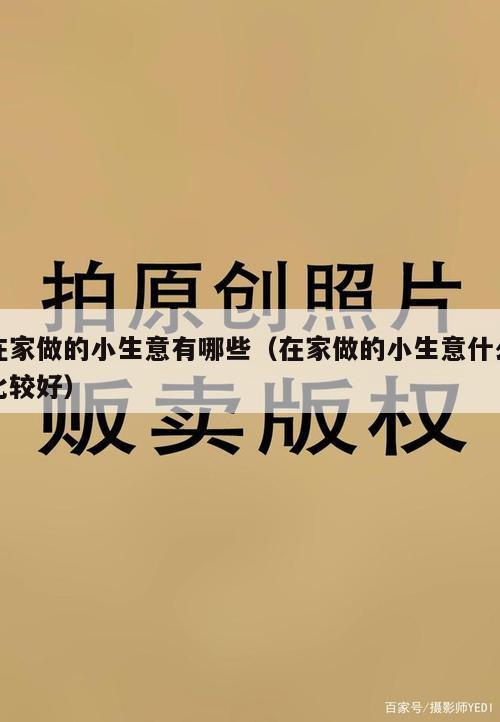 在家做的小生意有哪些（在家做的小生意什么比较好）