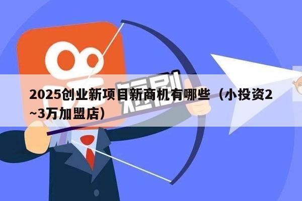 2025创业新项目新商机有哪些（小投资2～3万加盟店）