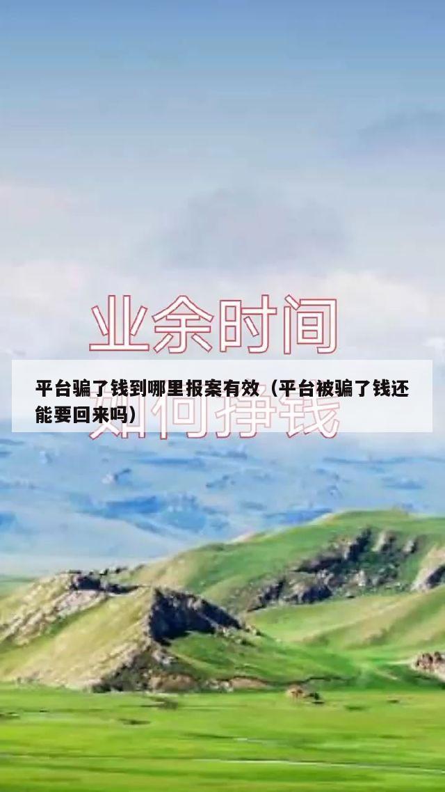 平台骗了钱到哪里报案有效（平台被骗了钱还能要回来吗）