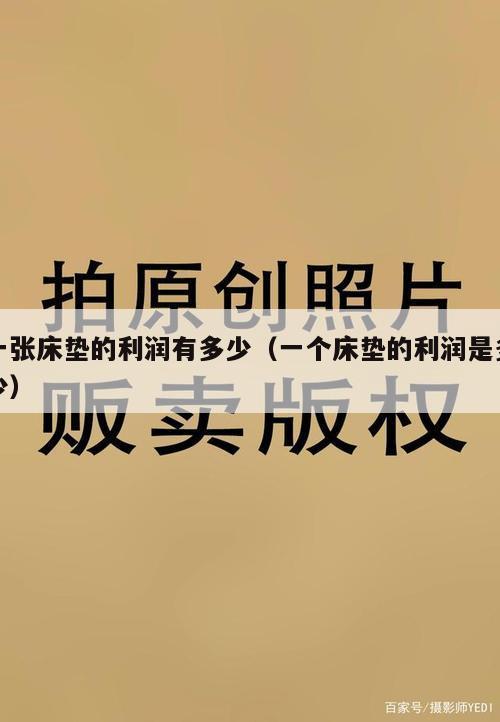 一张床垫的利润有多少（一个床垫的利润是多少）