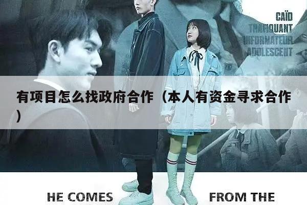 有项目怎么找政府合作（本人有资金寻求合作）