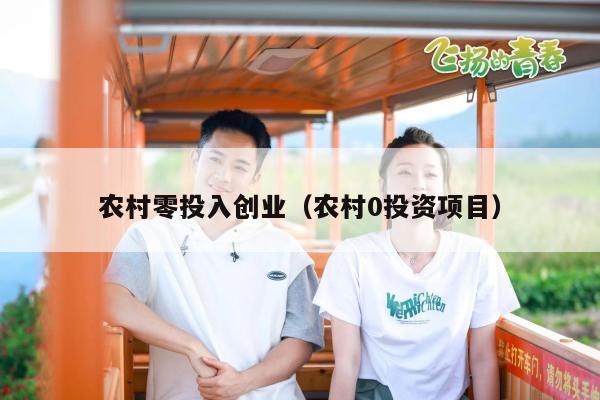 农村零投入创业（农村0投资项目）