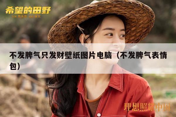 不发脾气只发财壁纸图片电脑（不发脾气表情包）