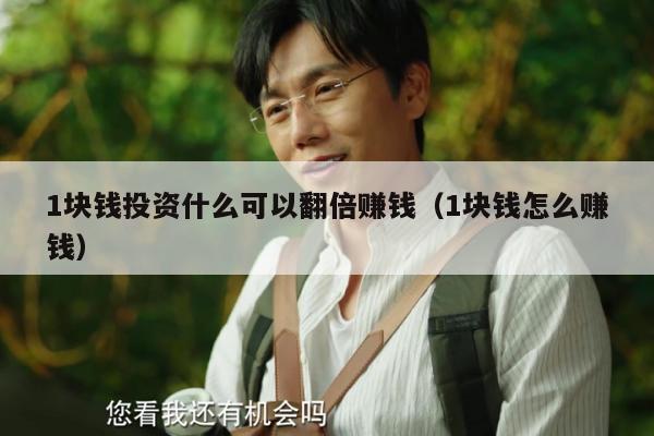 1块钱投资什么可以翻倍赚钱（1块钱怎么赚钱）