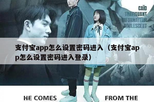 支付宝app怎么设置密码进入（支付宝app怎么设置密码进入登录）