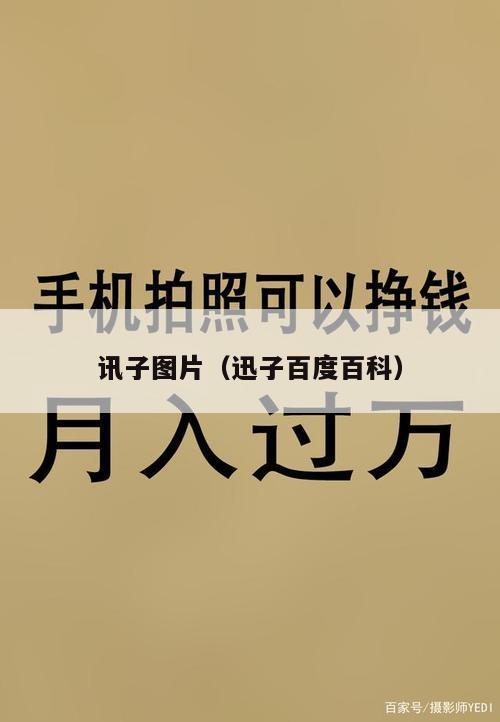 讯子图片（迅子百度百科）