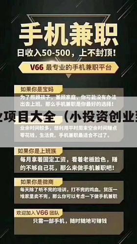 小投资创业项目大全（小投资创业致富项目网）