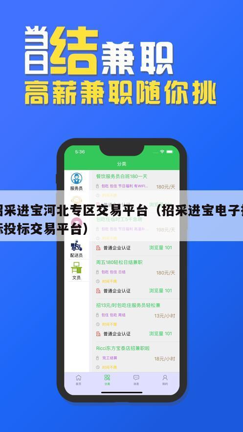 招采进宝河北专区交易平台（招采进宝电子招标投标交易平台）