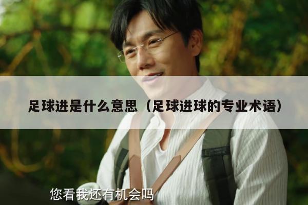 足球进是什么意思（足球进球的专业术语）