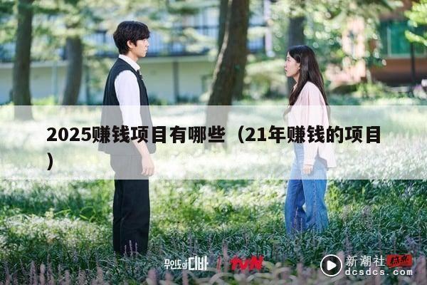 2025赚钱项目有哪些（21年赚钱的项目）
